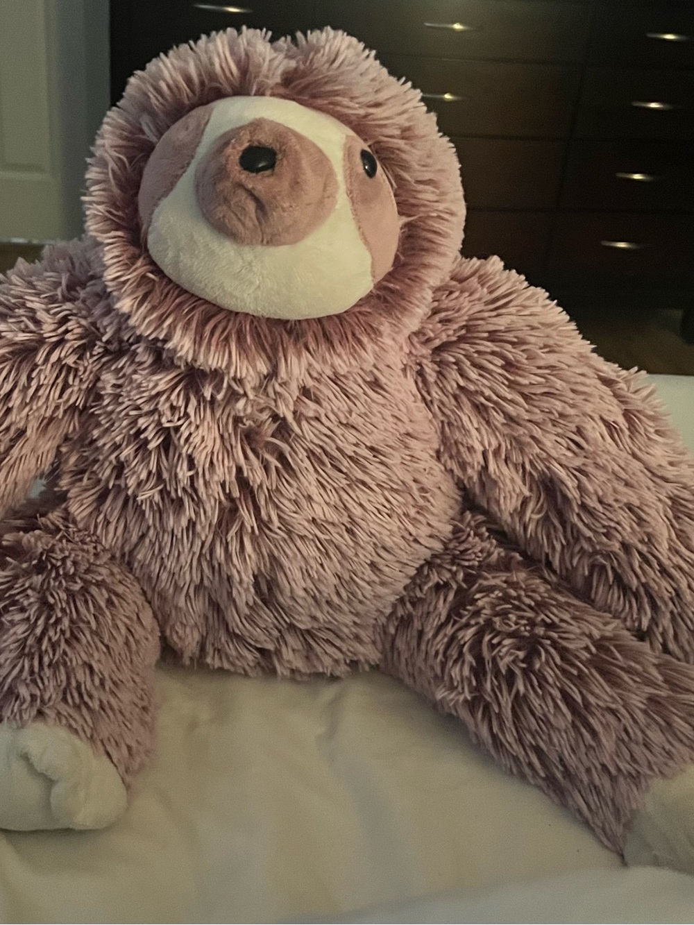 EUC Minky Sloth Stuffed Animal